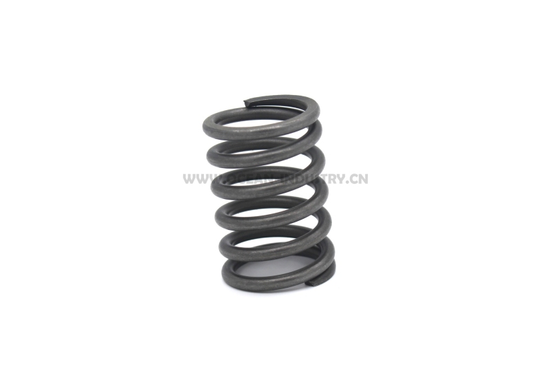 4JG1 Valve spring