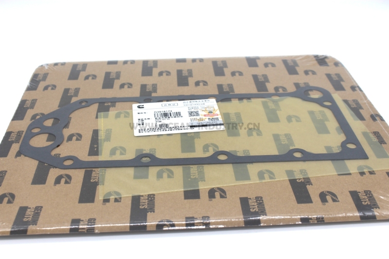 3918174 Oil Cooler Core Gasket for 6CT 6D114