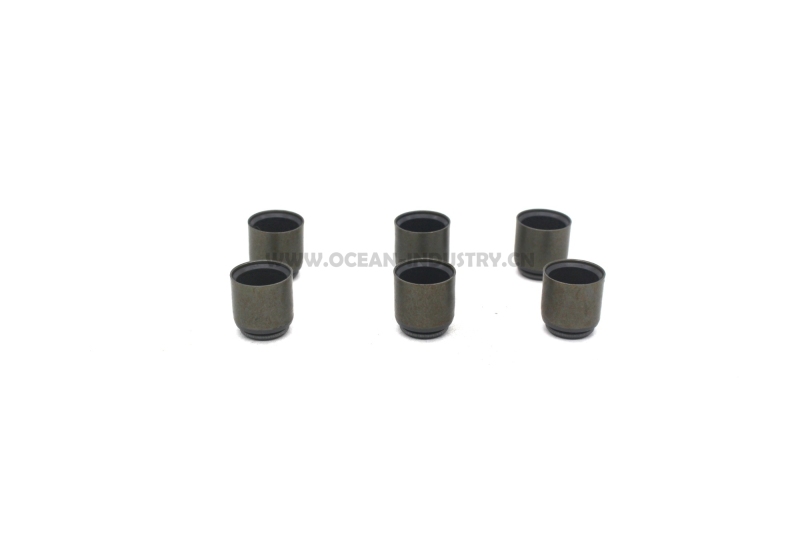 6BD1 6BG1 Valve seals
