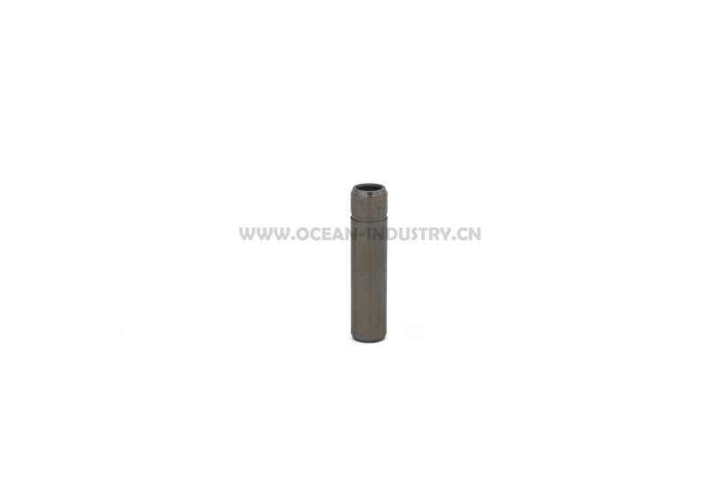 6BD1 6BG1 Valve guide