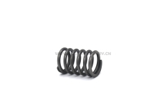 4JG1 Valve spring