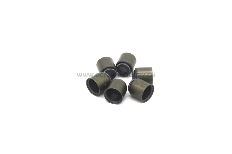 6BD1 6BG1 Valve seals