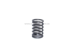 4JG1 Valve spring