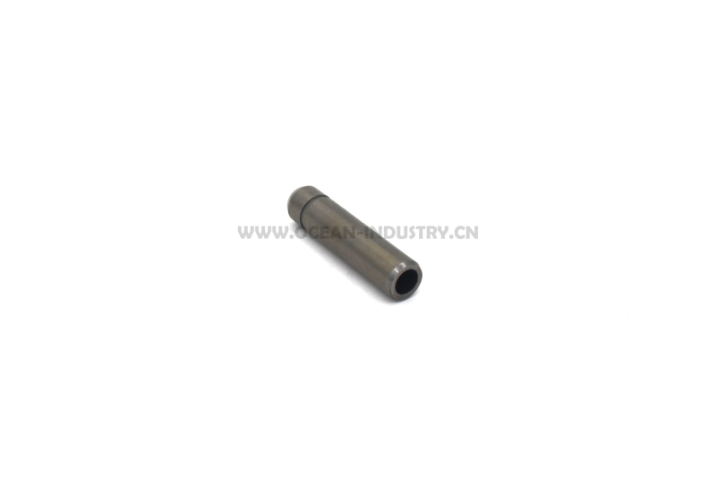 6BD1 6BG1 Valve guide