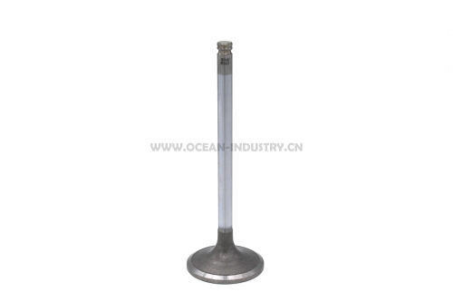 3924492 Intake Valvefor 6CT 6D114