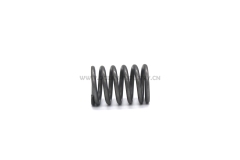 4JG1 Valve spring