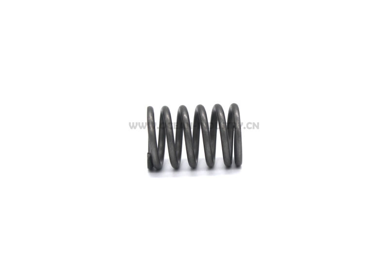 4JG1 Valve spring