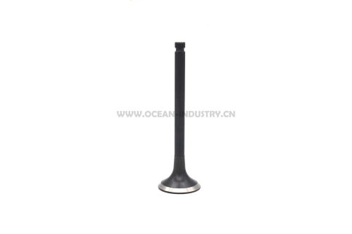 65.04101-0025 Exhaust valve for DB58