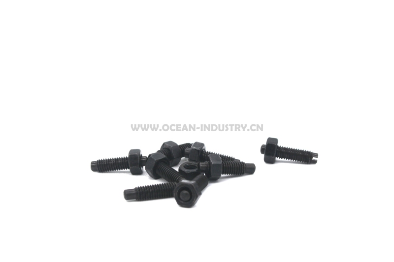 4LE2 Valve adjusting bolts