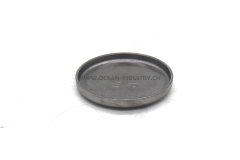 4938189 Expansion Plug for QSB6.7 6D107