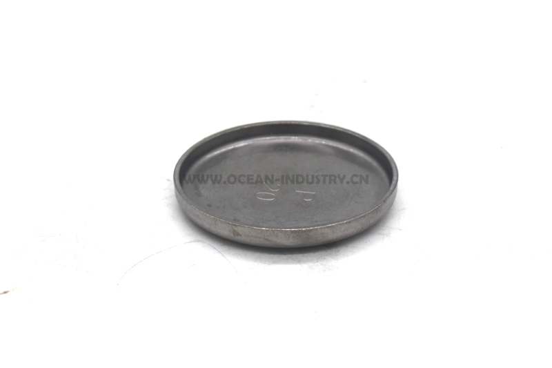 4938189 Expansion Plug for QSB6.7 6D107