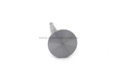 D6E Intake valve