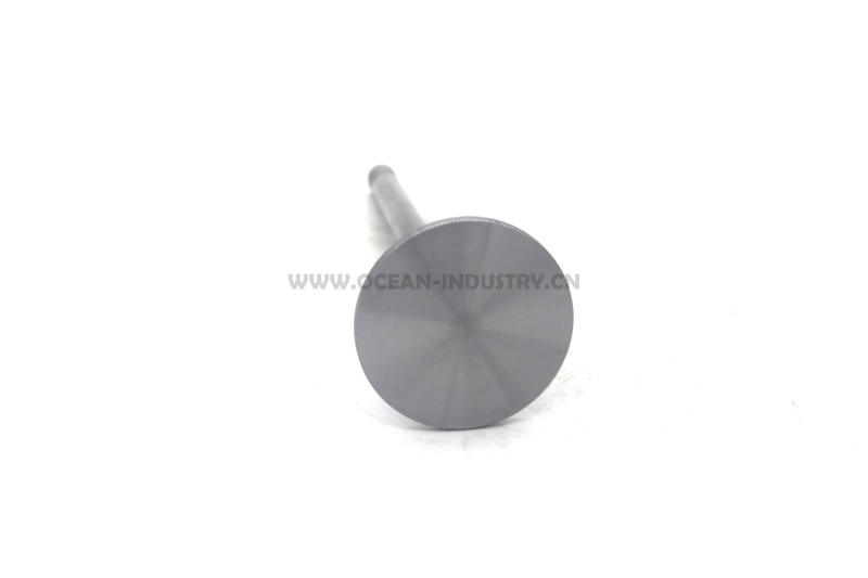 D6E Intake valve