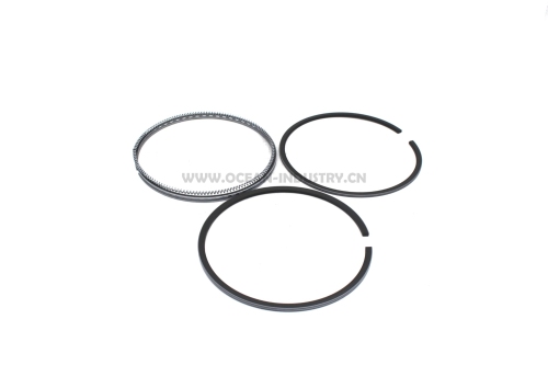 6D34 Piston ring