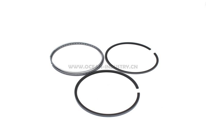 6D34 Piston ring