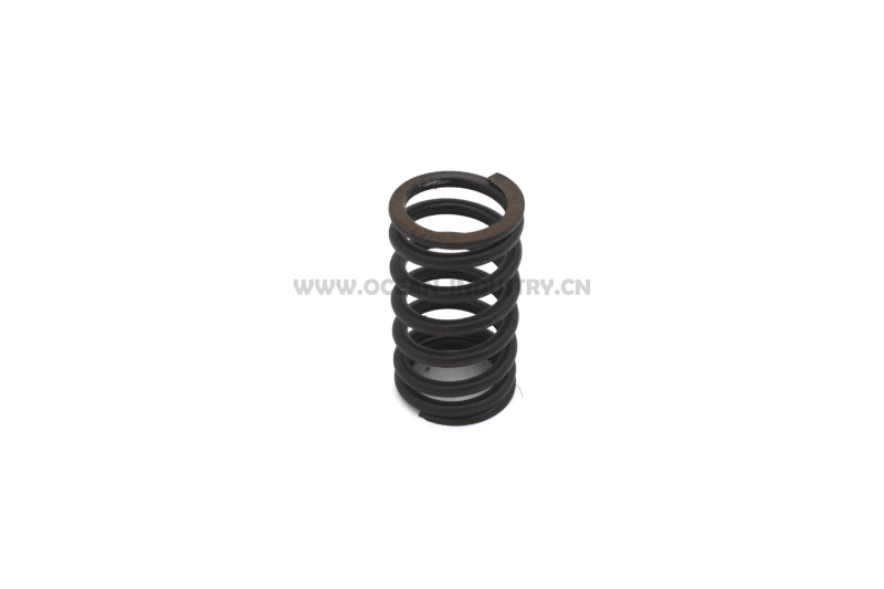 D7D Valve spring