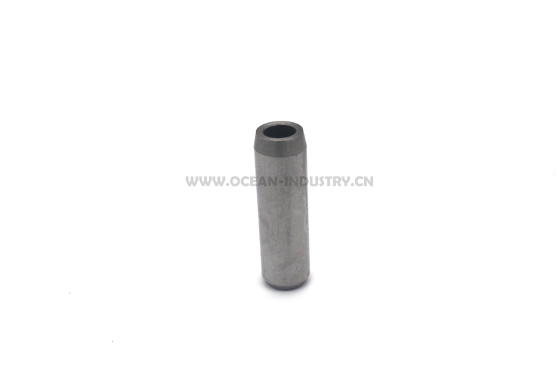 4M40 Valve guide