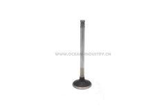 D7D Exhaust valve