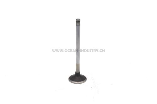 D7D Exhaust valve