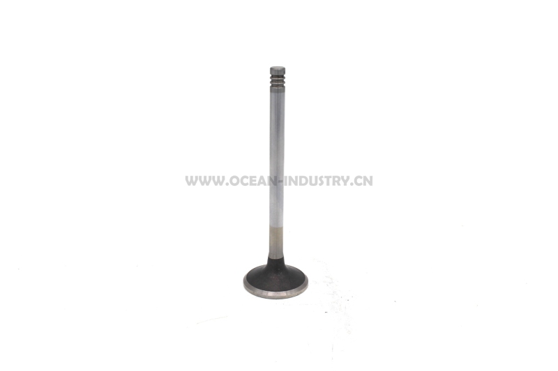 D7D Exhaust valve