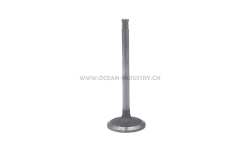 D6E Intake valve