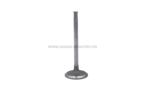 D6E Intake valve