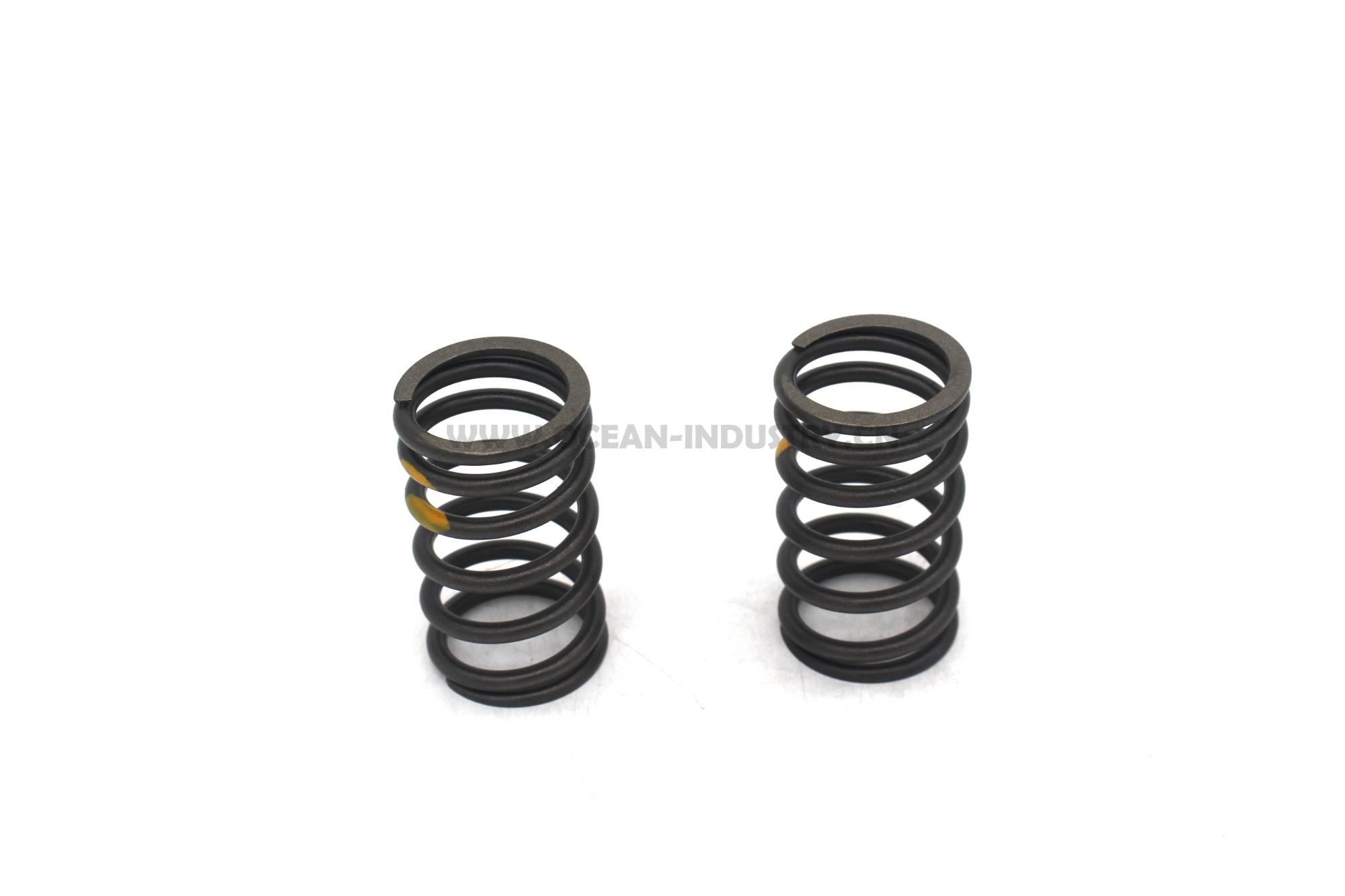 D6D Valve spring