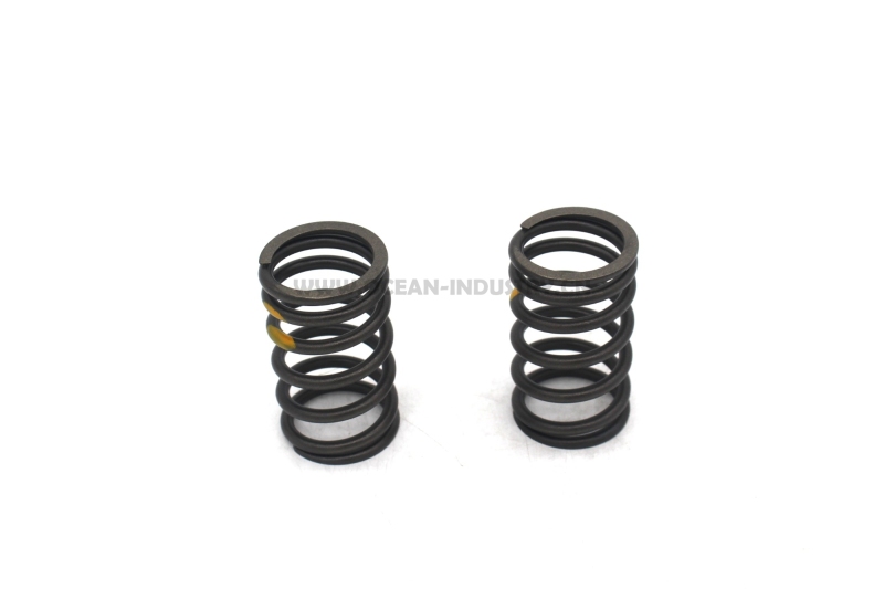 D6D Valve spring