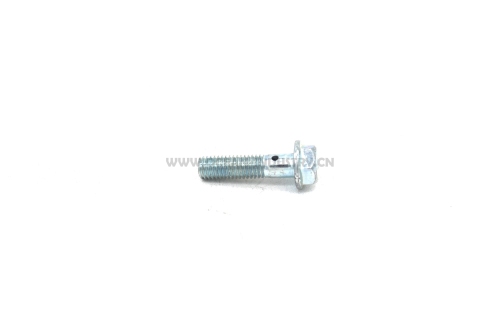 4M40 Chain oil nozzle bolt