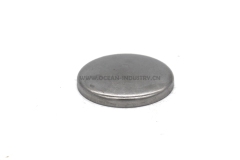 4938189 Expansion Plug for QSB6.7 6D107
