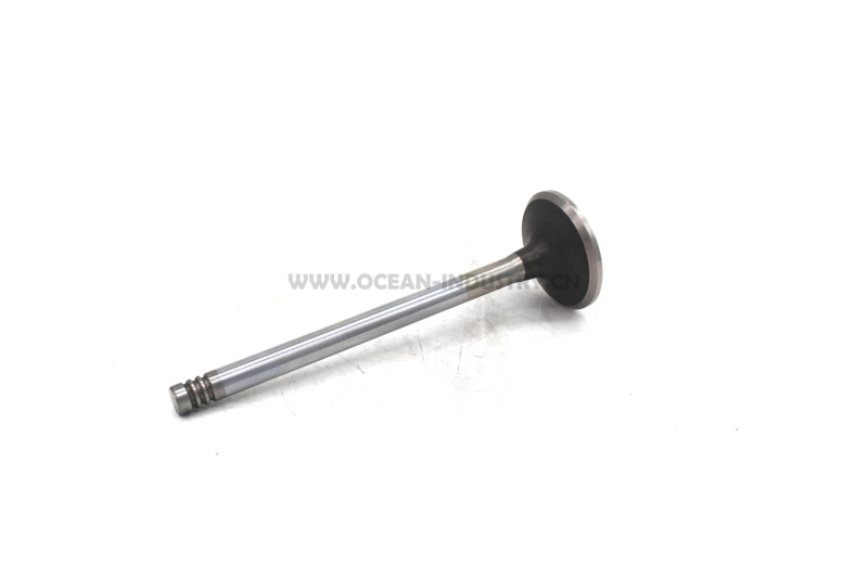 D7D Exhaust valve