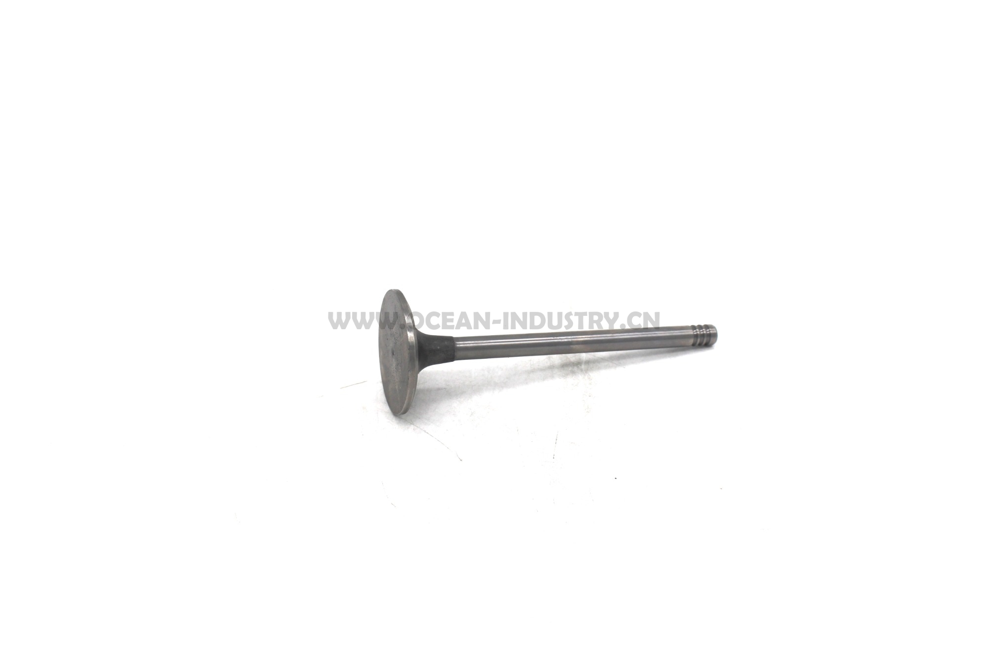 D6D Intake valve