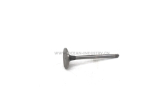 D6D Intake valve