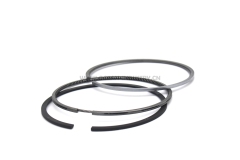D6D D6E piston ring
