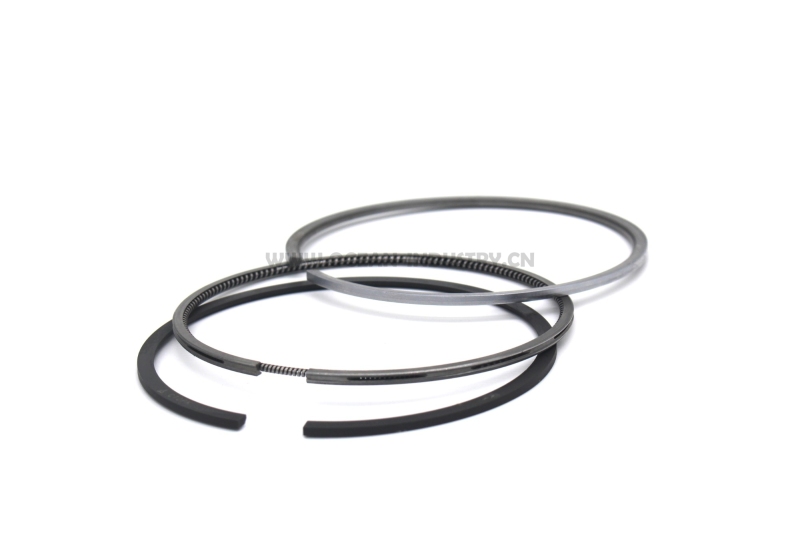 D6D D6E piston ring