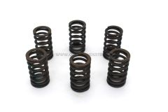 4936076 Valve Spring for QSL9.3 L340