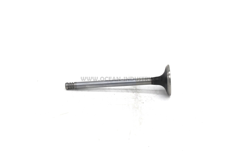 D6D Exhaust valve
