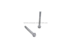 D7D Rocker lever bolt