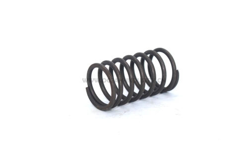 4D95 B3.3 Valve spring