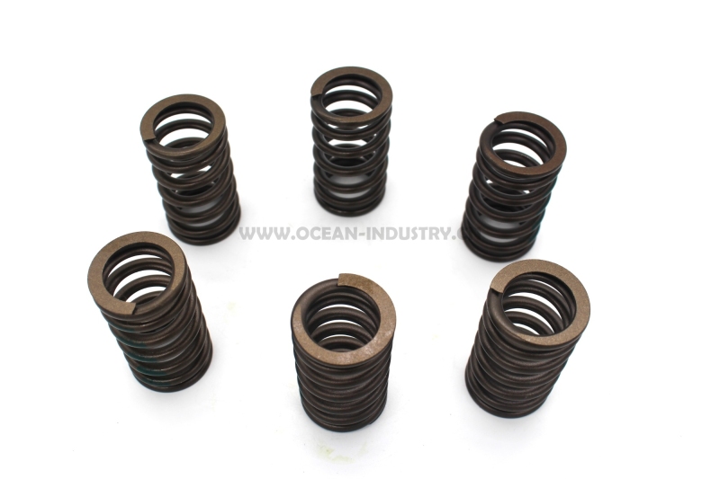 4936076 Valve Spring for QSL9.3 L340