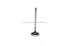 D7D Intake Valve