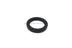 C6204213510 Oil seal for 4D95 B3.3
