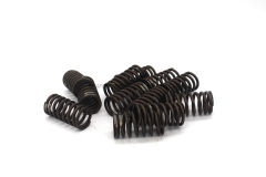 S6K Valve spring