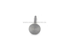 D6E Exhaust valve