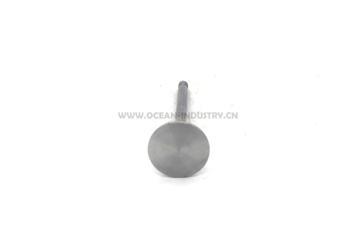 D6E Exhaust valve