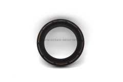 4890832 oil seal for 6D107 QSB7