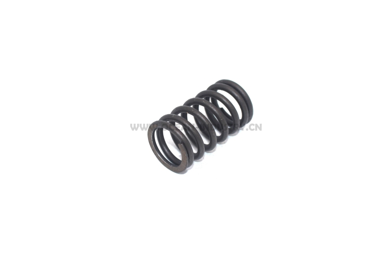 D7D Valve spring