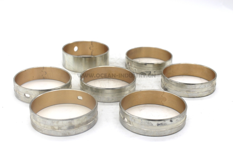 D6D Camshaft bearing