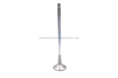 4926069  Intake Valve for QSM11 ISM1 M1