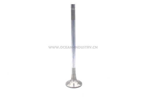 4926069  Intake Valve for QSM11 ISM1 M1